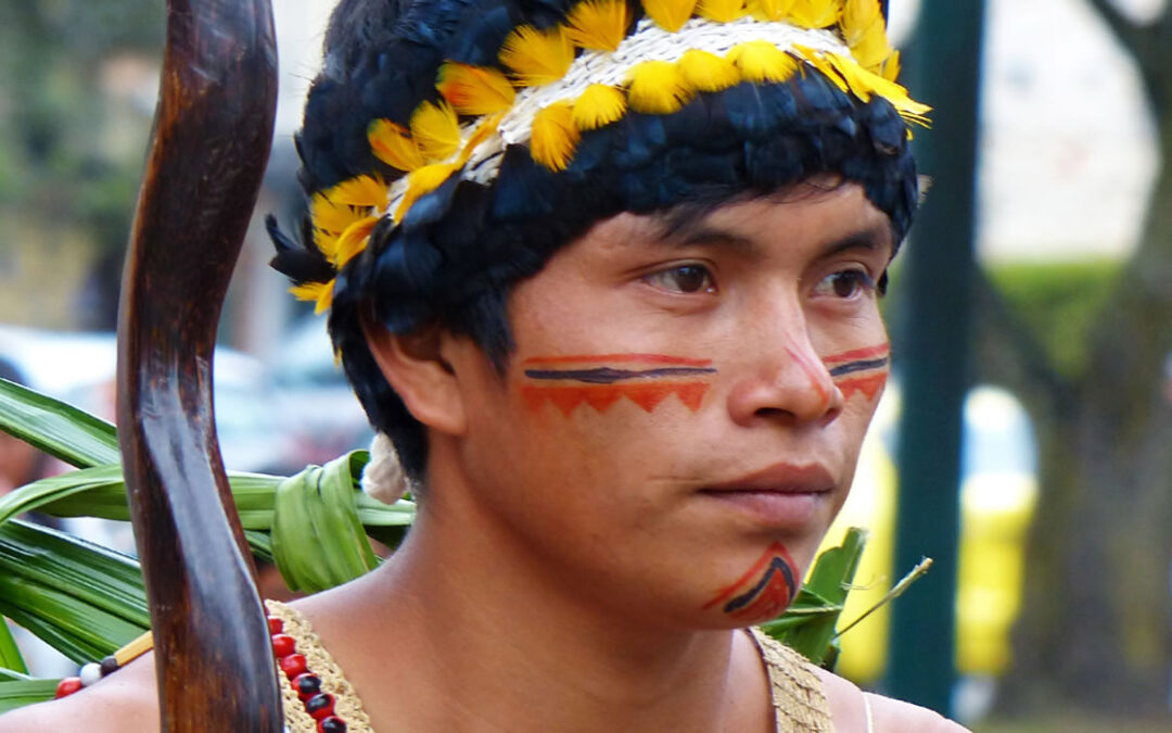 El IIALI en una mirada