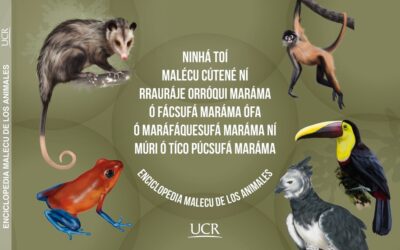 UCR destacó el aporte ya que actualmente solo persisten unas 250 personas que dominan la lengua.
